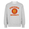 Streaming University Merch Streaming University Sweatshirt Cool Gifts For Dad T-Shirts, Hoodie | PureTeeCo.com