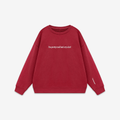 See The Way I See Merch Overthinker Sweatshirt Cry A Lot Sweatshirt Gifts For Sister T-Shirts, Hoodie (Image 1)