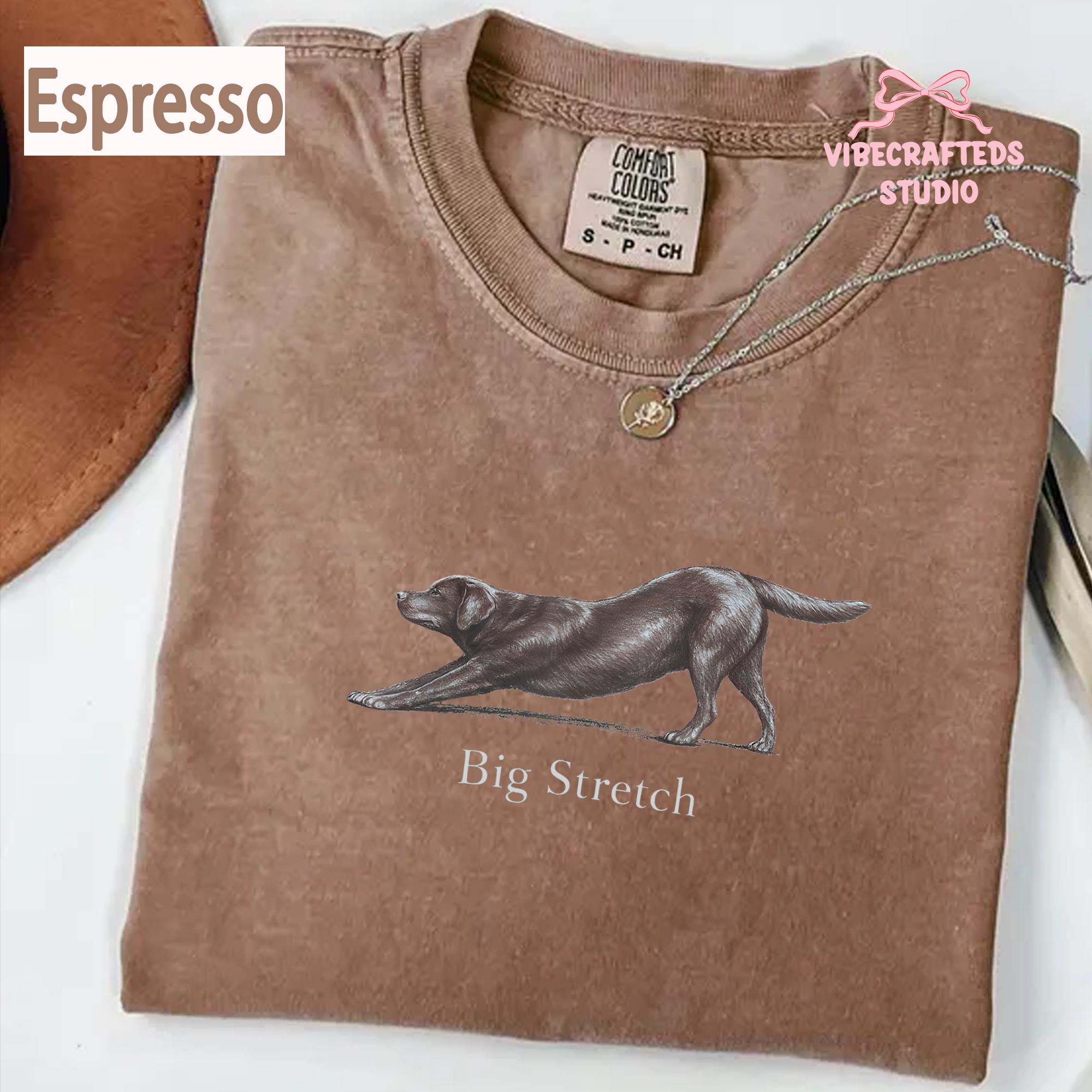 Big Stretch Chocolate Labrador Retriever Comfort Colors Stretching Lab Dog Chocolate Lab Lover Vintage Dog (3)