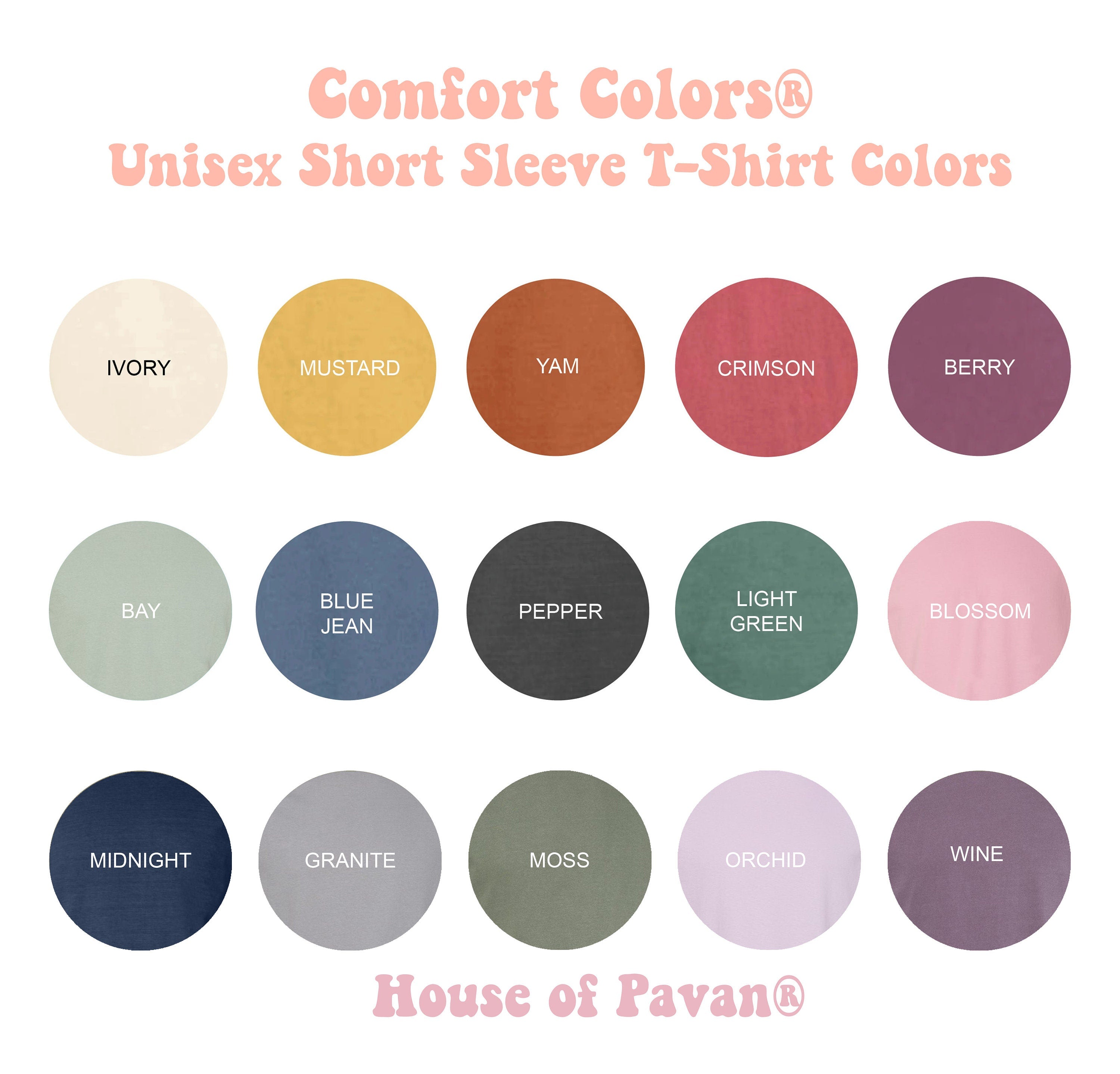 Western Cowboy Killer Country Music Vintage Inspired Tee Western Retro Comfort Colors (5)