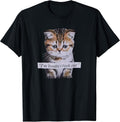 I'm Boutta Crash Out Cat Funny Meme Cat Pet Lover