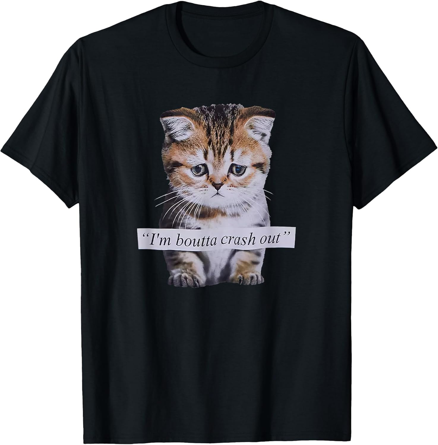 I'm Boutta Crash Out Cat Funny Meme Cat Pet Lover