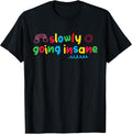 Slowly Going Insane Kidcore Clowncore Aesthetic T-Shirt