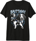 Brittany Vintage 90s Heavy Metal Style Dog Lover Brittany Premium Tri-Blend T-Shirt