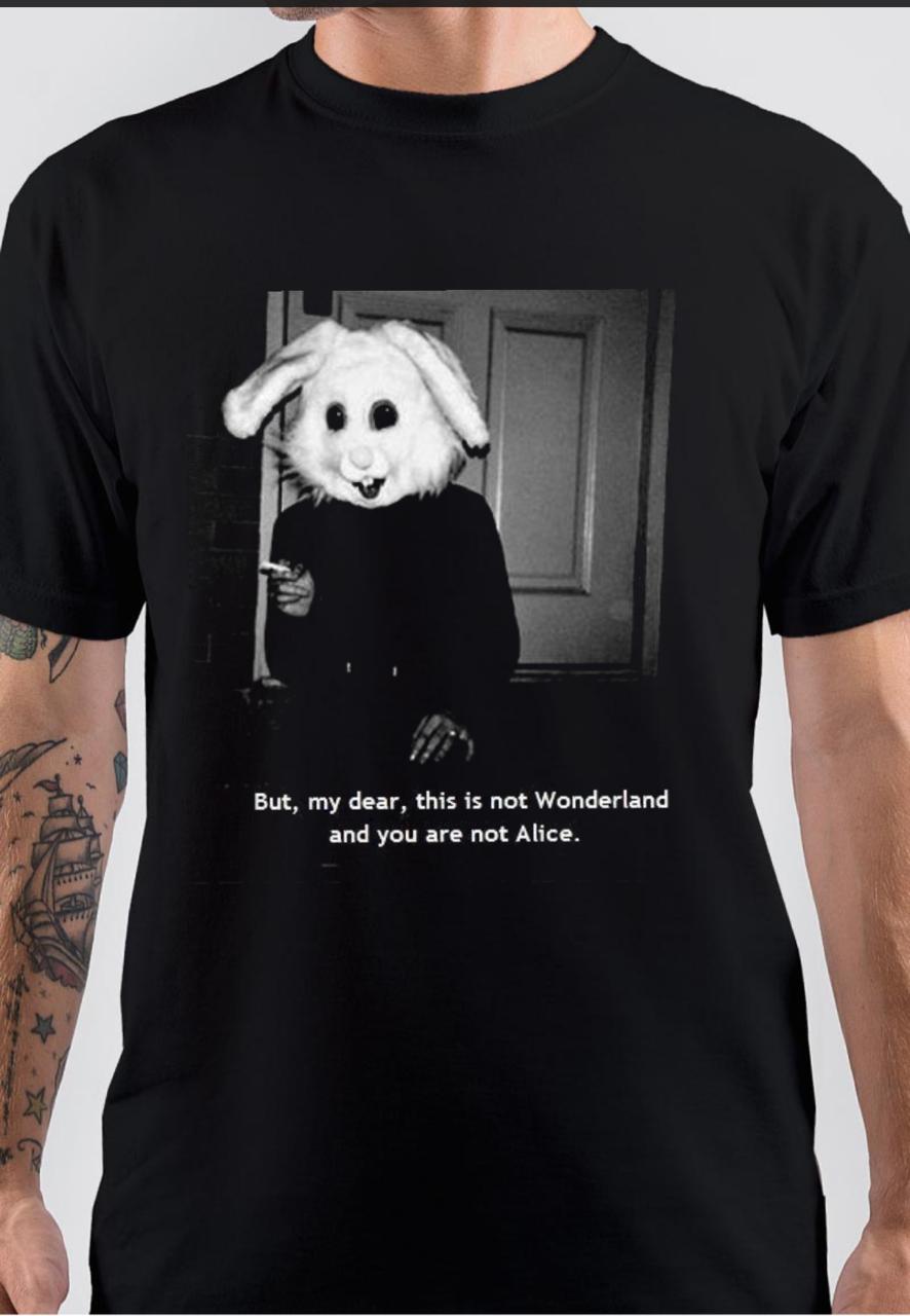 This Is Not Wonderland And You Are Not Alice T-Shirt Hoodie, Sweatshirt | PureTeeCo.com