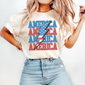 America Shirt, America Shirt, Fourth of July Shirt, 4th of July Tee, Patriotic Shirt, America Est Shirt, Red White and...