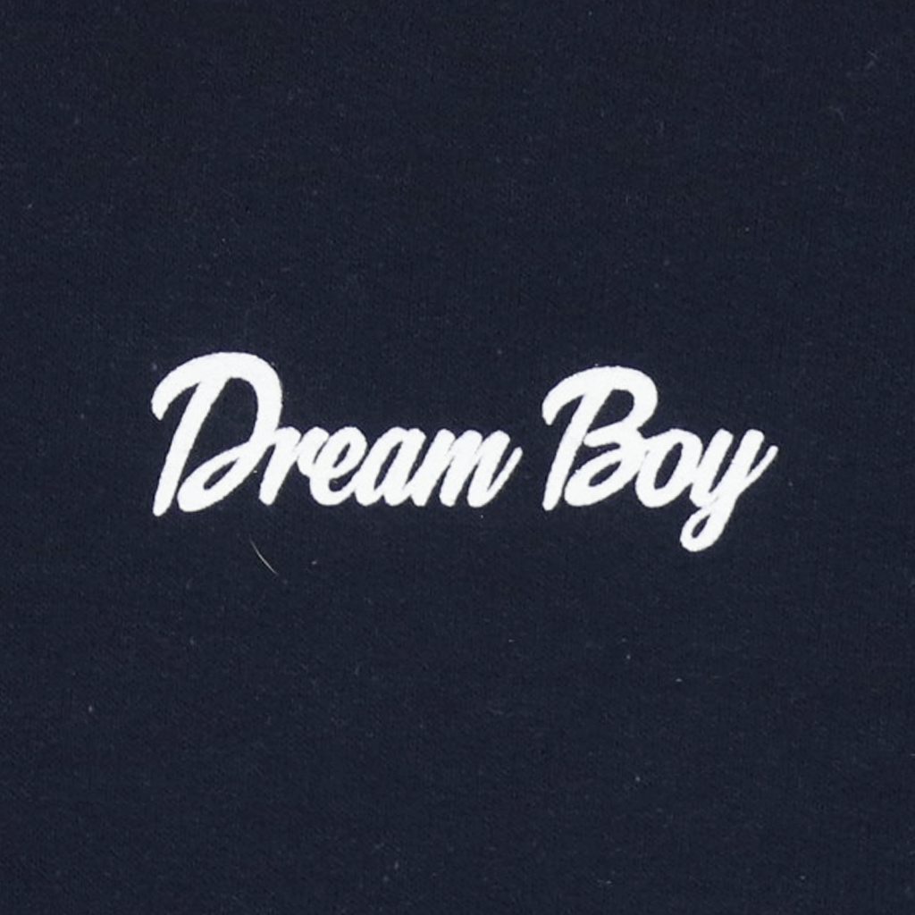 Dream Boy Navy Hoodie T-Shirts, Sweatshirt | PureTeeCo.com (Image 2)