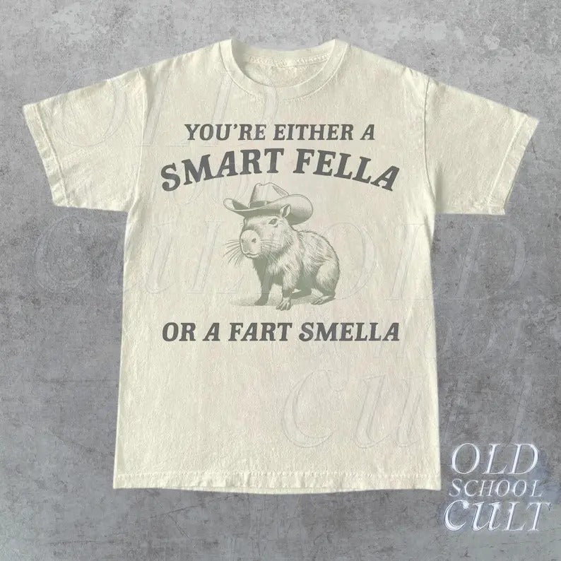 Are You A Smart Fella Or Fart Smella Vintage Style Shirt, Retro Cartoon T Shirt, Weird T Shirt, Meme T Shirt, Cabybara...