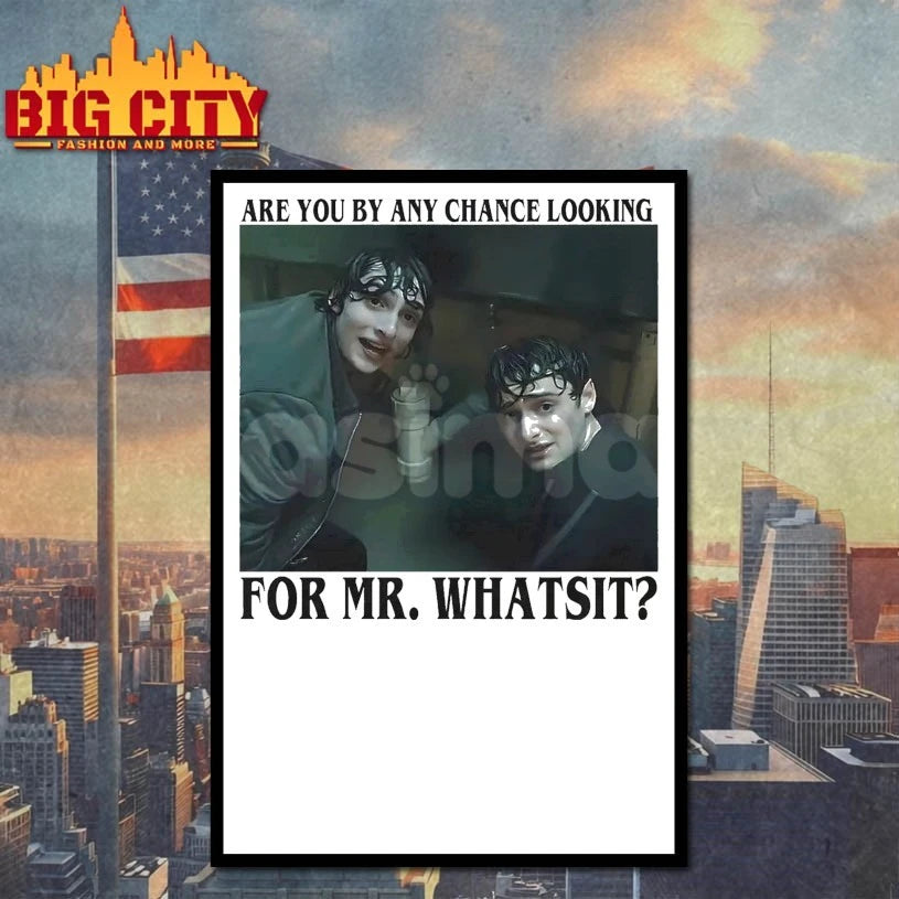 Are You By Any Chance Looking For Mr. Whatsit shirt
