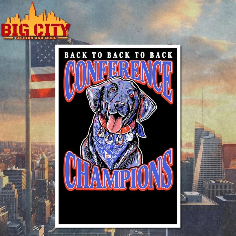 Boise State Football Back To Back To Back Conference Champions Blitz shirt