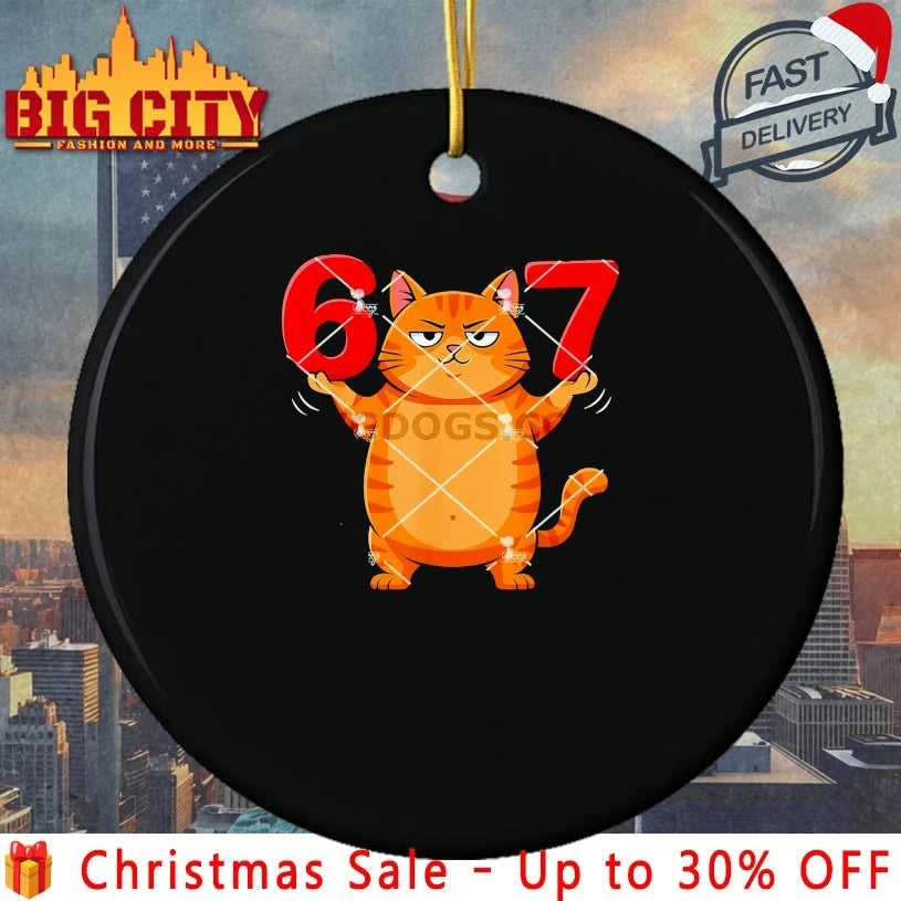 Cat 67 Six Seven Meme shirt