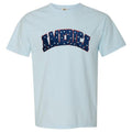 Chenille AMERICA Patch Comfort Colors T-Shirt Hoodie, Sweatshirt | PureTeeCo.com