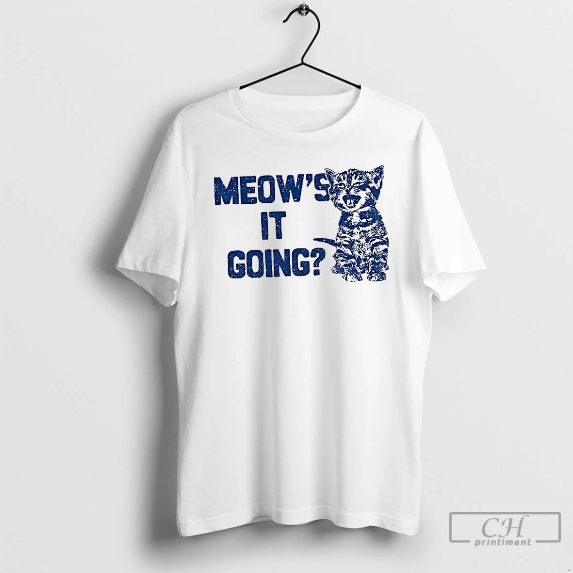 Classic Cat Meows It Going Meme