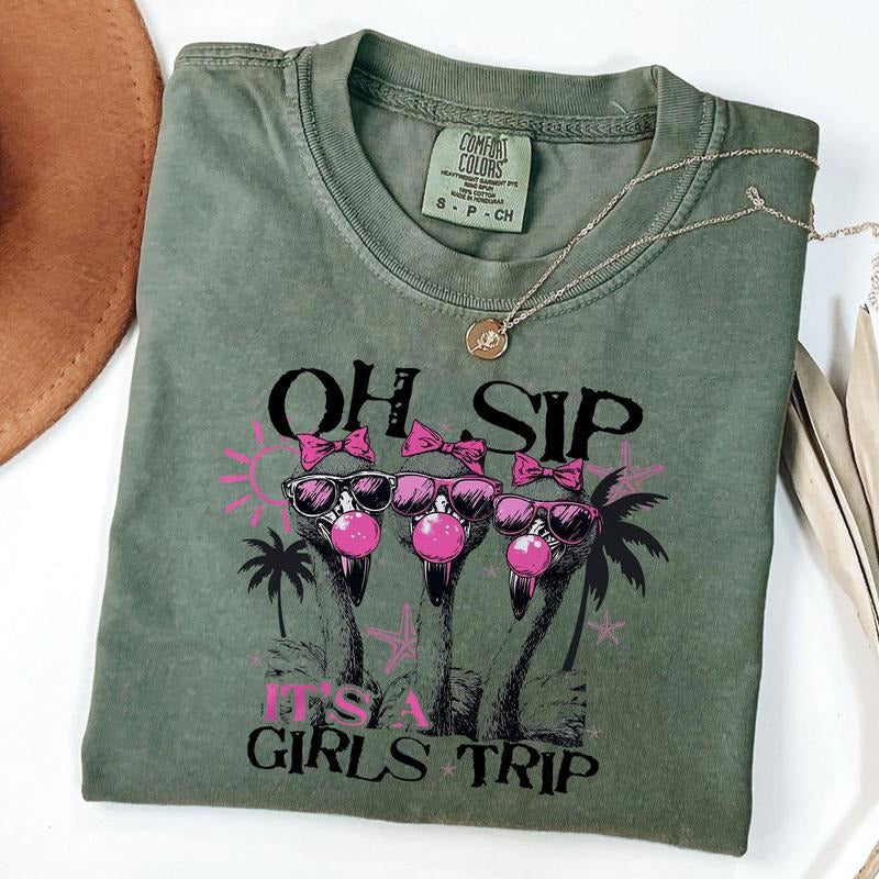 Comfort Colors Girls Trip Flamingo Blowing Bubble Shirt, Vintage Summer Shirt, Flamingo Tee, Unisex T-Shirt Hoodie,...