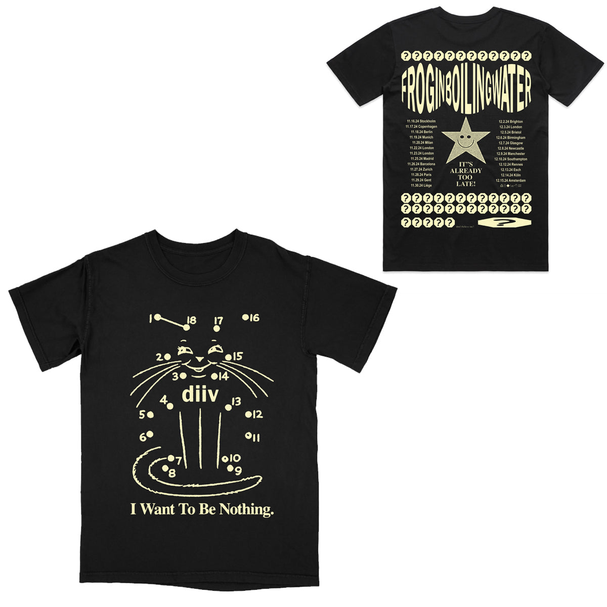 I Want To Be Nothing Tour T-Shirt Hoodie, Sweatshirt | PureTeeCo.com
