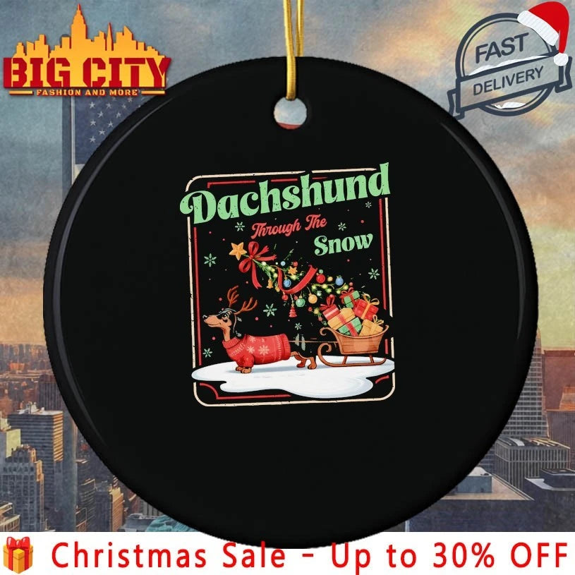 Dachshund Through The Snow Christmas 2025 shirt