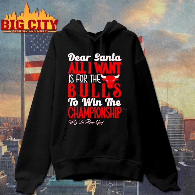 Dear Santa all I want is for the Chicago Bulls to win the Championship Shirt