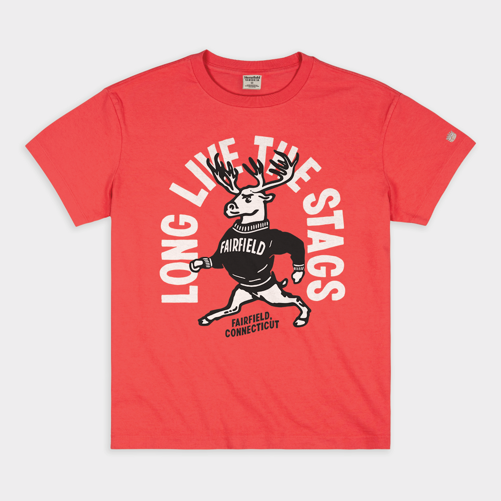 Long Live the Stags Vintage Heavyweight Tee Hoodie, Sweatshirt | PureTeeCo.com (Image 1)