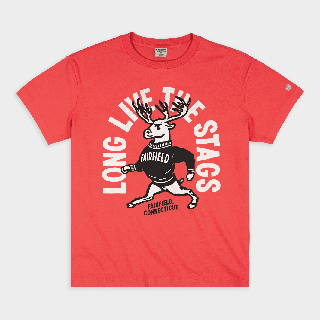Long Live the Stags Vintage Heavyweight Tee Hoodie, Sweatshirt | PureTeeCo.com (Image 1)
