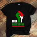 Free Palestine Gaza Freedom End Israeli Occupation T Shirt Hoodie, Sweatshirt | PureTeeCo.com