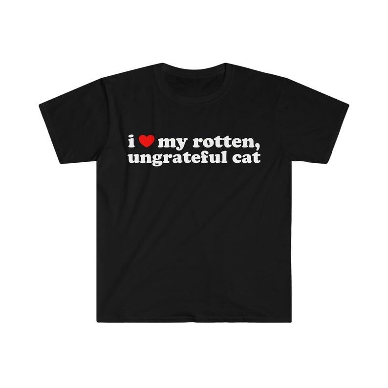 Funny Meme Shirt, I Love My Rotten, Ungrateful Cat Cute Tee, Gift Unisex T-Shirt Hoodie, Sweatshirt | PureTeeCo.com