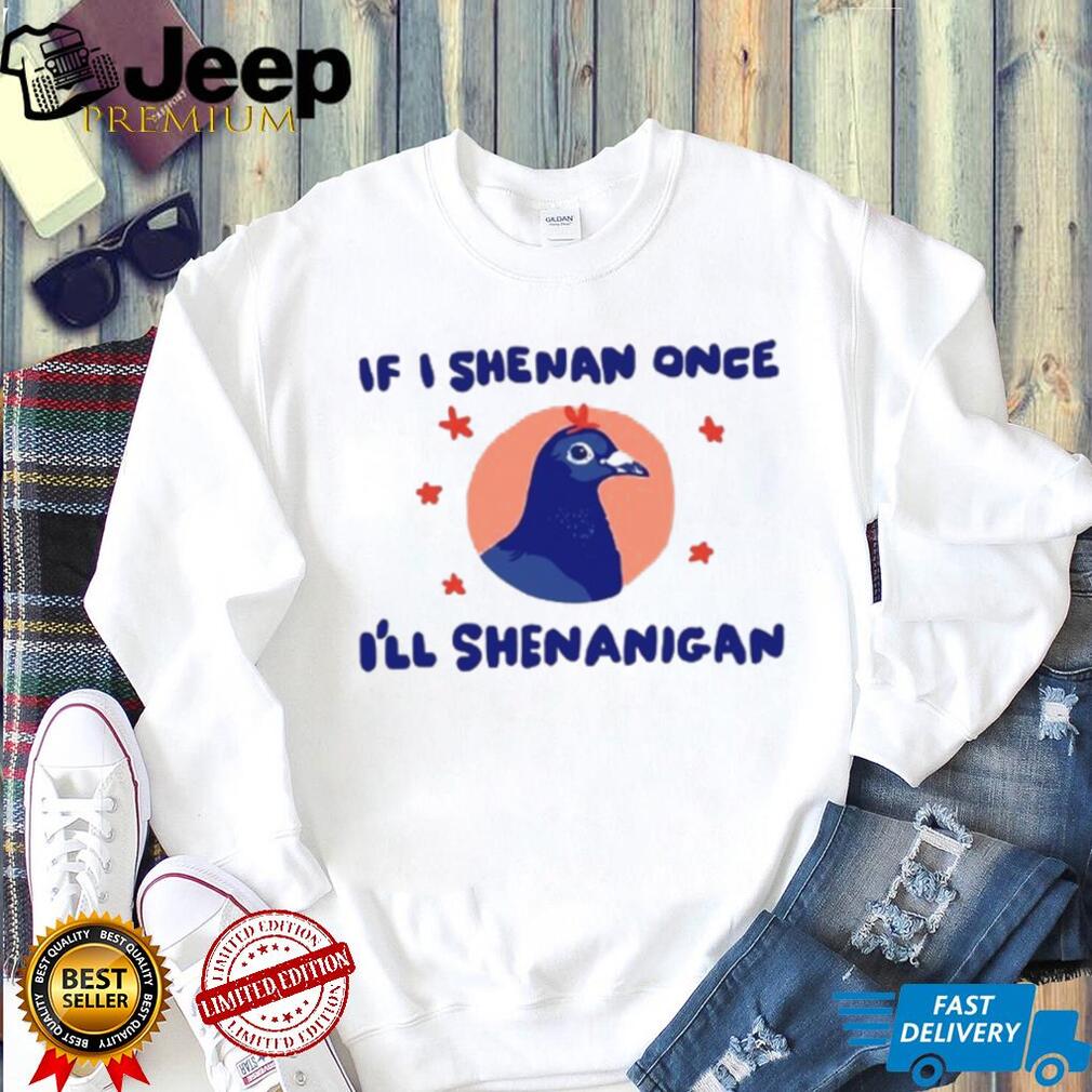 Funny Pigeon Shenanigan Bird Pun Graphic T Shirt