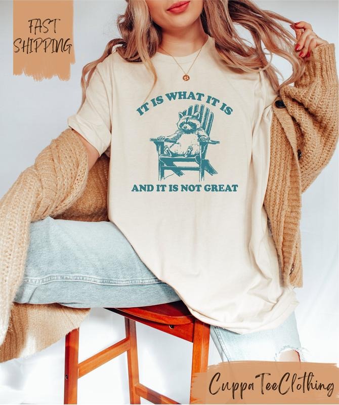 It Is What It Is And It Is Not Great Shirt / Funny Raccoon Shirt / Meme Shirt / Y2k Shirt / Retro Meme Shirt / Funny...