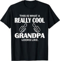 Funny Shirt, Gift For Grandpa, This Is What A Really Cool Grandpa Looks Like Funny T-Shirt Classic Hoodie, Sweatshirt