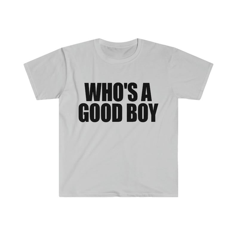 Funny Y2K Meme TShirt, WHO'S a GOOD Boy 2000's Style Sassy Tee, Gift  T-shirt, sweater and Hoodie Cotton Sweatshirt
