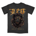 Graphic Tee Leo Zodiac Sign Comfort Colors, Horoscope Shirt, Astrology T-Shirt Hoodie, Sweatshirt | PureTeeCo.com