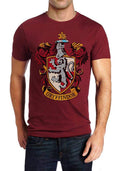 Gryffindor T-Shirt Hoodie, Sweatshirt | PureTeeCo.com