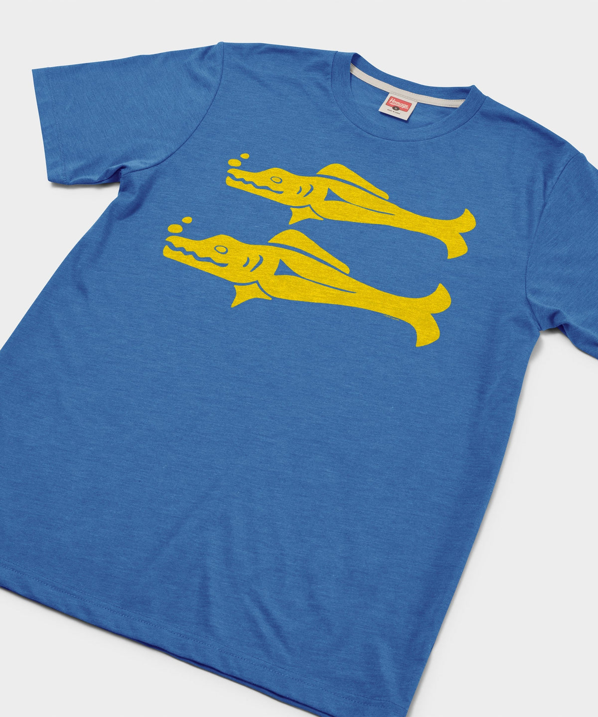 Hidden Temple Blue Barracudas