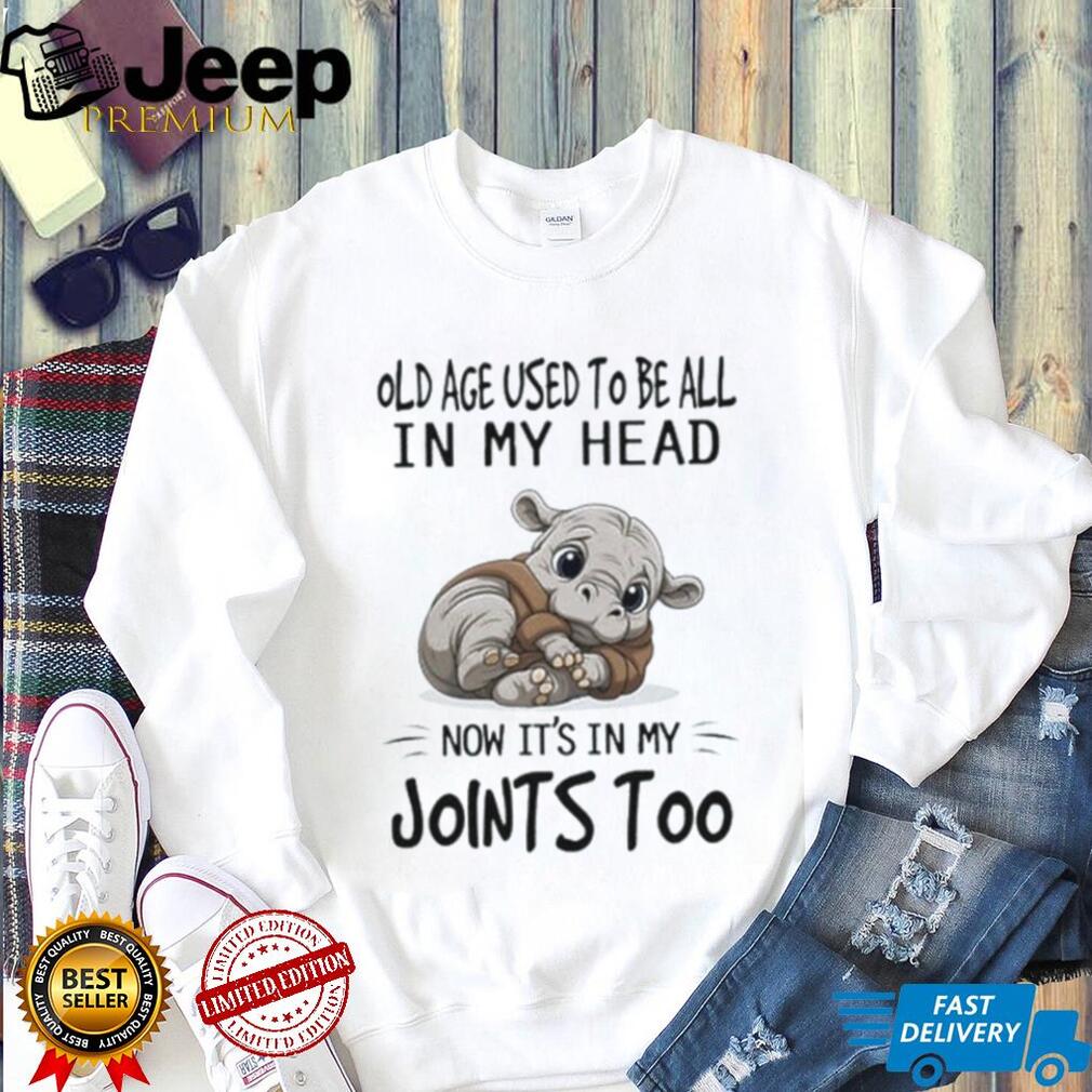 Hippopotamus old age used to be all in my head now it’s in my joints too shirt