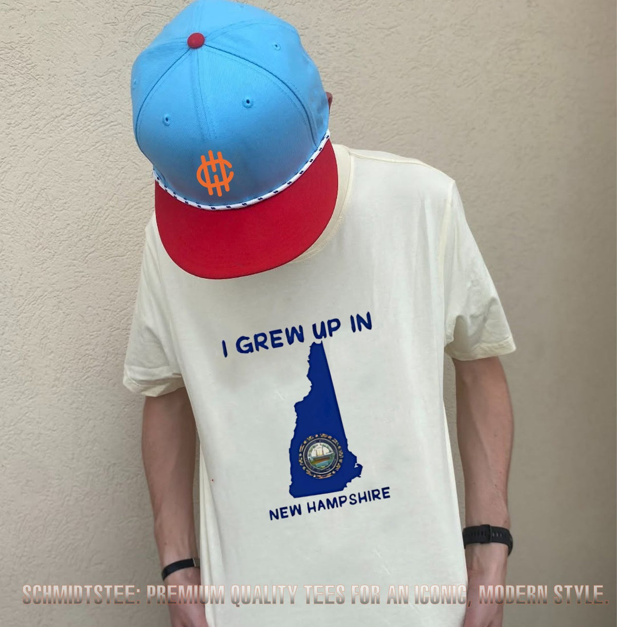 I Grew Up in New Hampshire State Pride Hometown shirt