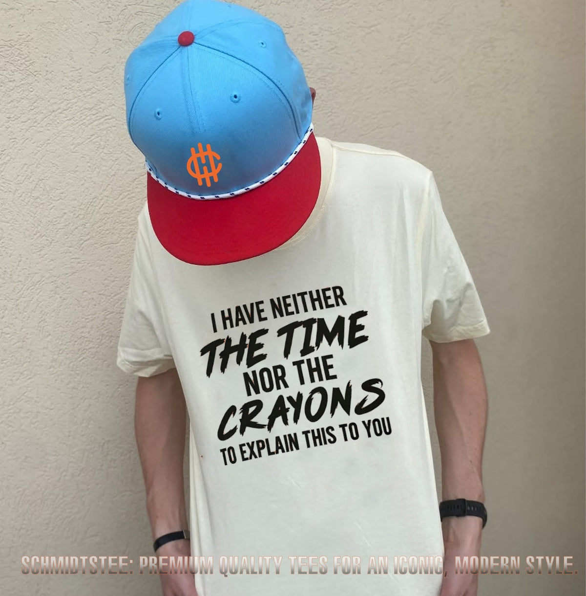 I have neither the time nor the crayons to expalin this to you shirt