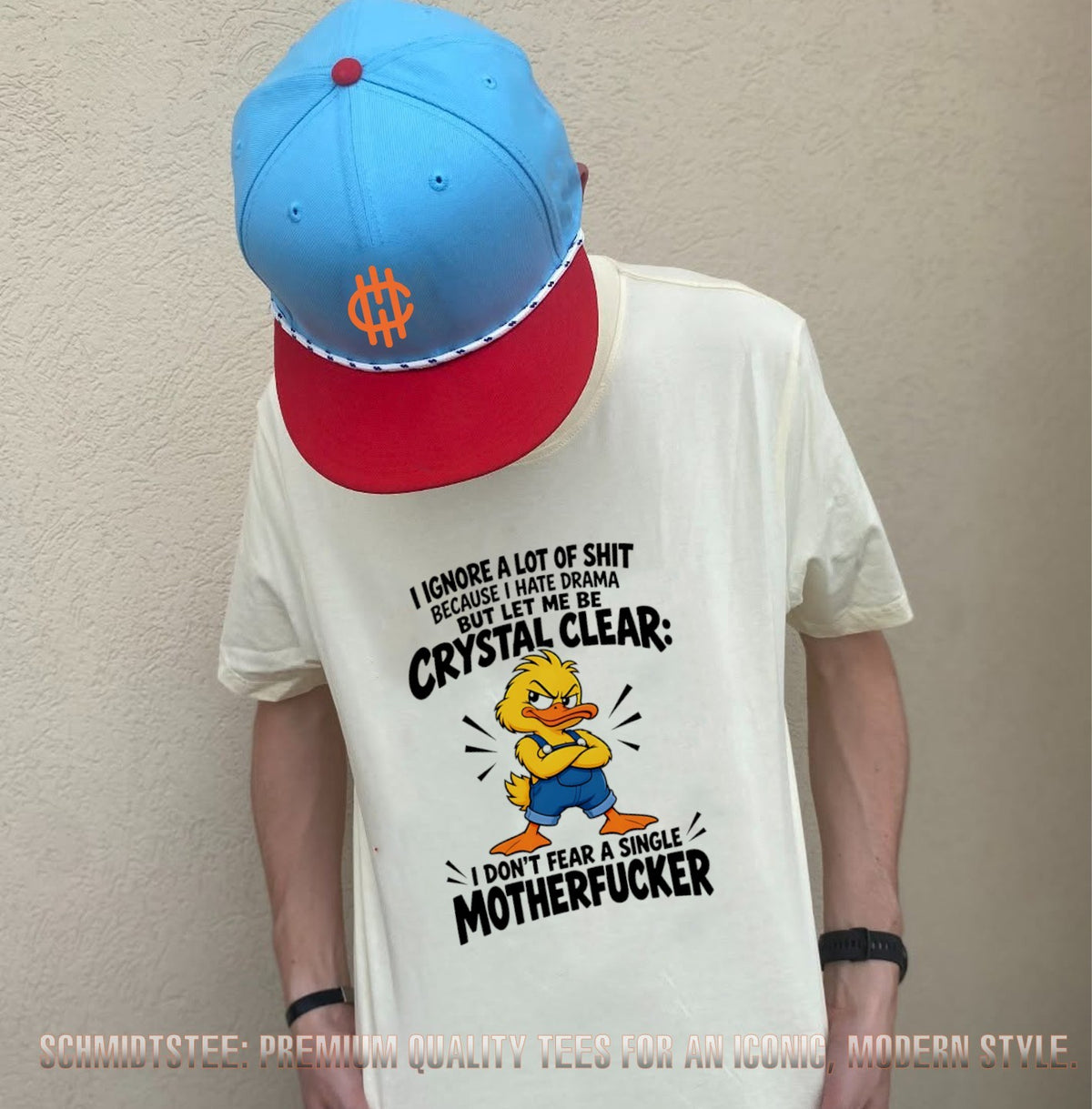 I ignore a lot of shit because I hate drama but let me be crystal clear I don’t fear a single motherfucker shirt