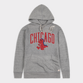 UIC Sparky D. Dragon Mascot Hoodie T-Shirts, Sweatshirt | PureTeeCo.com