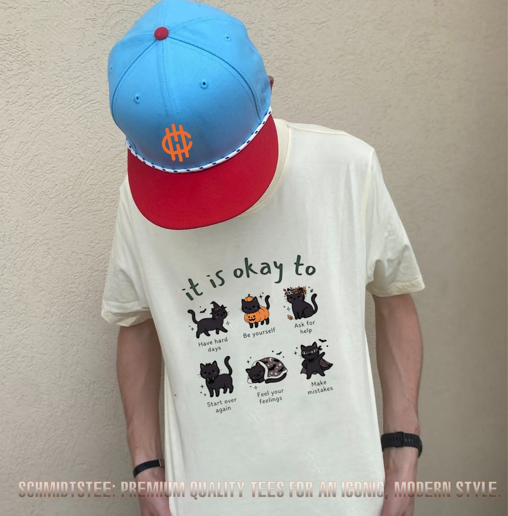 It Is Okay To Black Cat Day Halloween 2026 Shirt