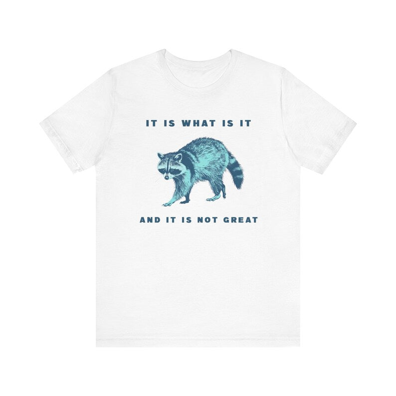 It Is What Is It T-shirt SD Hoodie, Sweatshirt | PureTeeCo.com