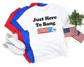 Just Here To Bang, 4th of July Firecracker Shirt, Funny 4th of July Shirt, Fireworks Shirt, 4th of July Crew Shirt, 4th...