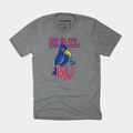 Vintage ‚ÄúHail to Old KU‚Äù Tee Style001 Hoodie, Sweatshirt | PureTeeCo.com
