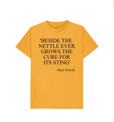 Kids Mary Seacole quote T-shirt thd Hoodie, Sweatshirt | PureTeeCo.com