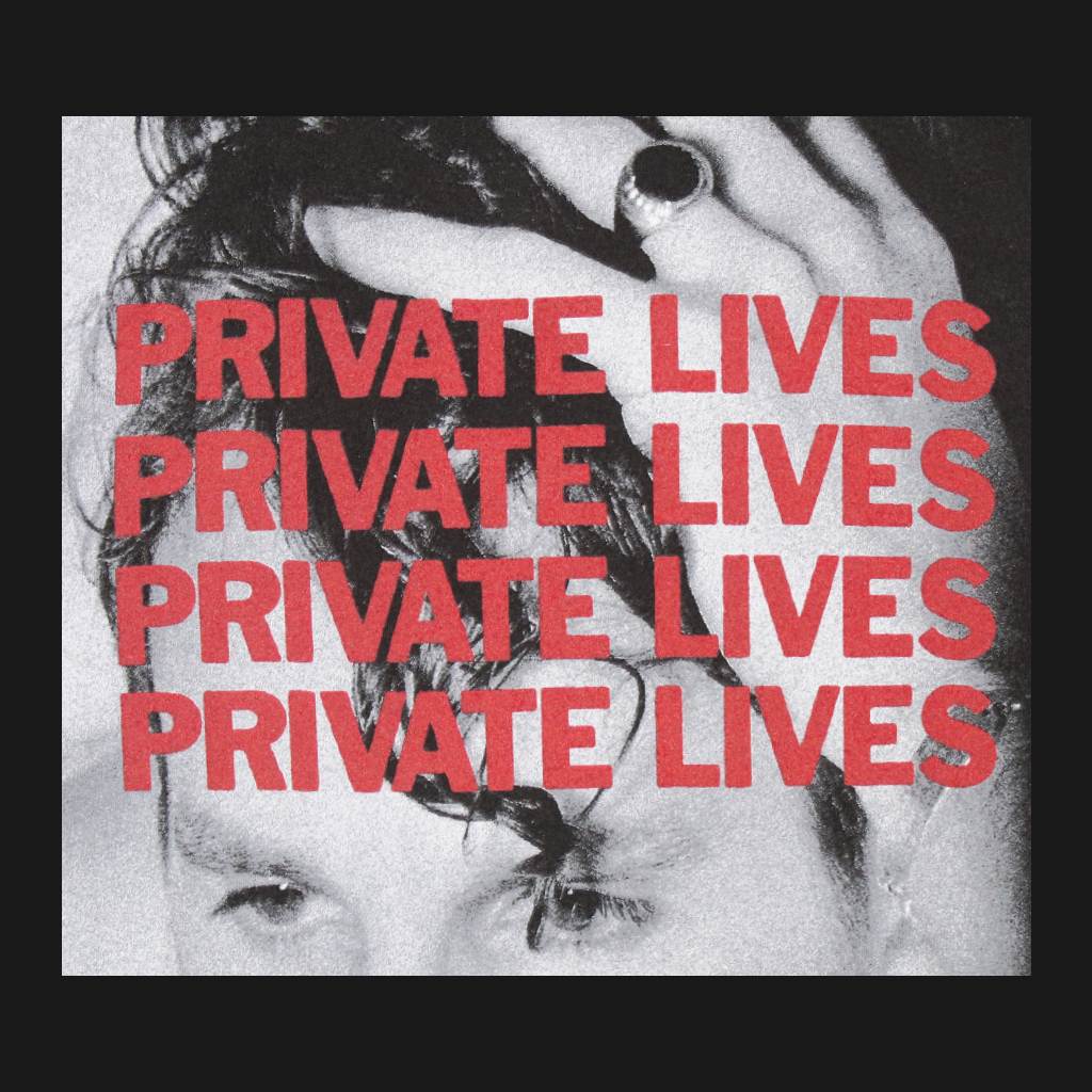Private Lives T-Shirt Hoodie, Sweatshirt | PureTeeCo.com (Image 2)