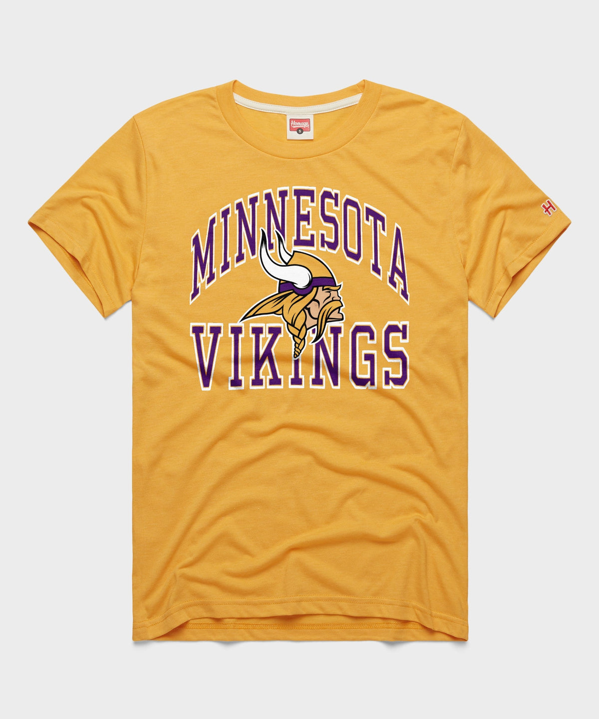 Minnesota Vikings Arch
