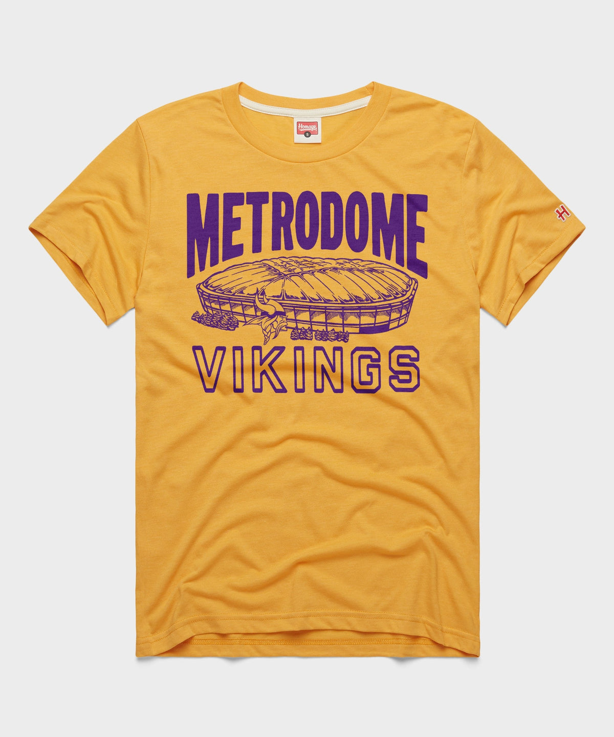 Minnesota Vikings Metrodome