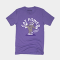 Northwestern Baseball Tee Style001 Hoodie, Sweatshirt | PureTeeCo.com (Image 1)