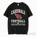 Officials Arizona Cardinals Football Rebuilding Since 1920