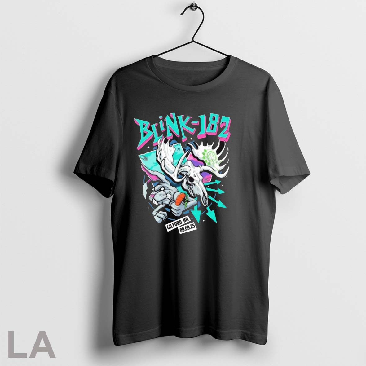 Original Blink 182 Gilford Nh Tour On September 9 2025