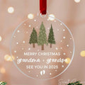 Promoted to Grandparents Ornament, Pregnancy Announcement Christmas Ornament, Reveal to Grandparents Grandma, New Baby...