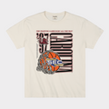 South Carolina Men's Basketball 1997 SEC Champions Heavyweight Tee Style001 Hoodie, Sweatshirt | PureTeeCo.com